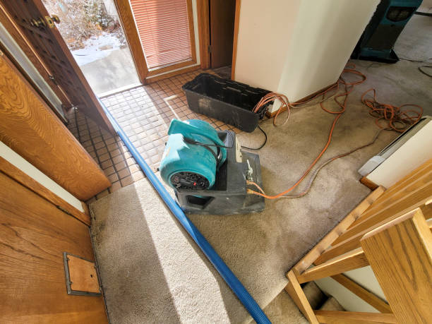 Professional Water damage restoration in Oakland, IA