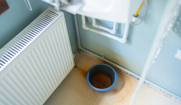 Best Water damage restoration near me  in Oakland, IA