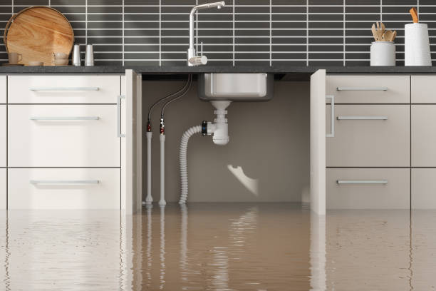 Best 24/7 water damage repair  in Oakland, IA